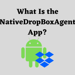 What Is the NativeDropBoxAgent App?