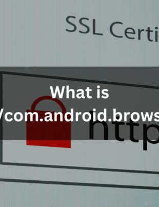 What is content://com.android.browser.home