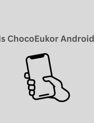 What Is ChocoEukor Android App? 