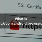 What is content://com.android.browser.home