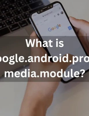 com.google.android.providers.media.module